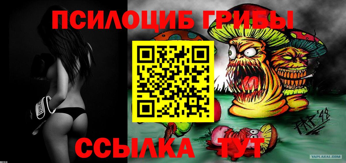 Псилоцибиновые грибы Psilocybe Краснокаменск
