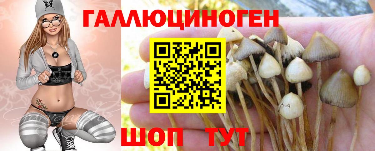 Псилоцибиновые грибы MAGIC MUSHROOMS  Вход с VPN  Галлюциногенные грибы прущие грибы  Краснокаменск 